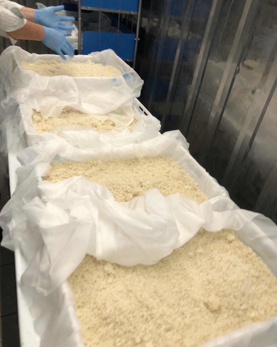 Koji Riz de Camargue Saké Bordeaux